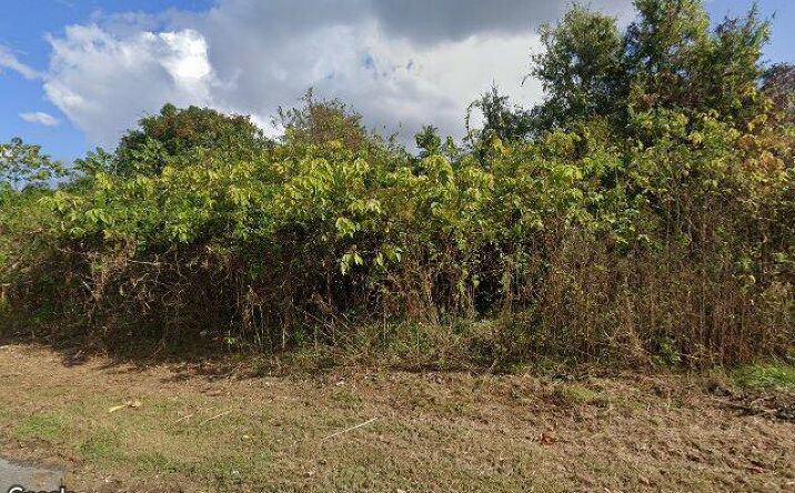 Pictures of Land property located at 600 Canal St, Baton Rouge, LA 70802 for sales - image #1