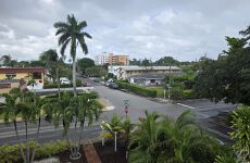 33791241