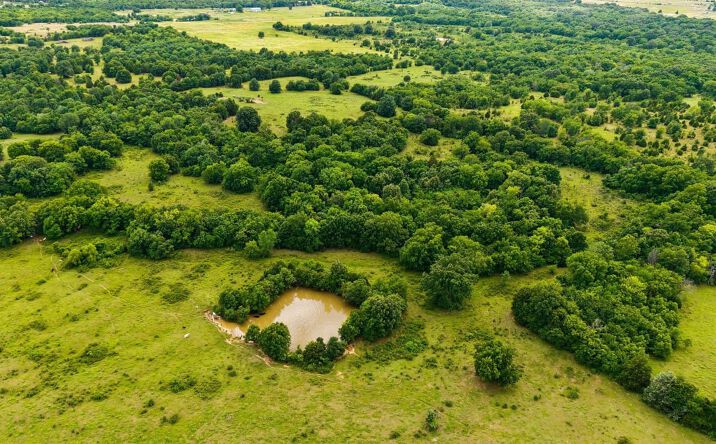 Pictures of Land property located at 0 S 95th St E, Porum, OK 74455 for sales - image #1