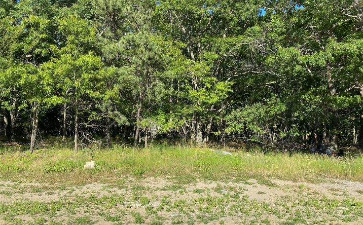 Pictures of Land property located at Granny Road, Medford, NY 11763 for sales - image #1