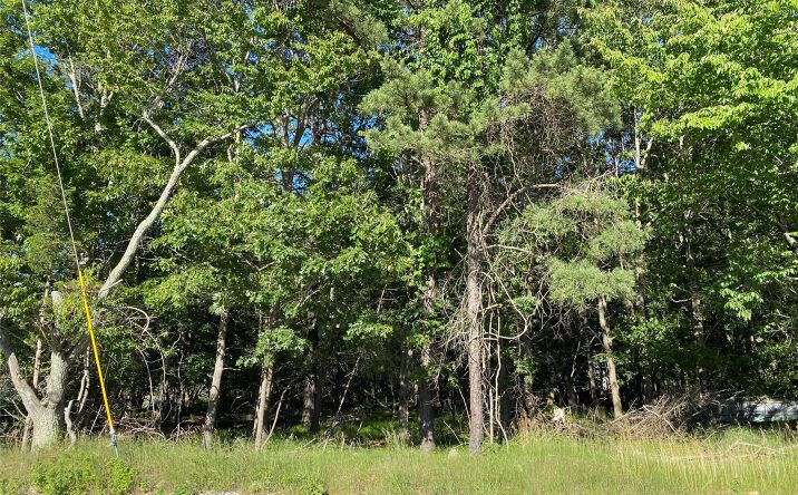 Pictures of Land property located at Pleasant Avenue, Medford, NY 11763 for sales - image #1