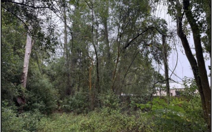Pictures of Land property located at 0 PERMENTO Avenue, Jacksonville, FL 32220 for sales - image #1
