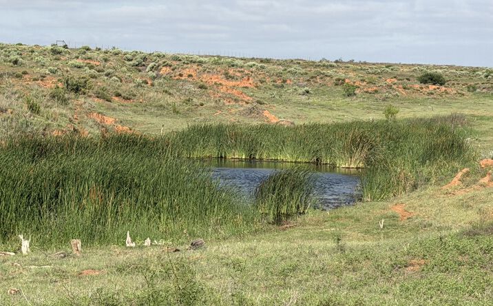 Pictures of Land property located at 15450 Farm to Market Road 2103, Childress, TX 79201 for sales - image #1