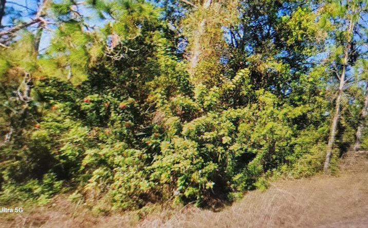 Pictures of Land property located at 1023 Acacia Avenue, Lehigh Acres, FL 33972 for sales - image #1