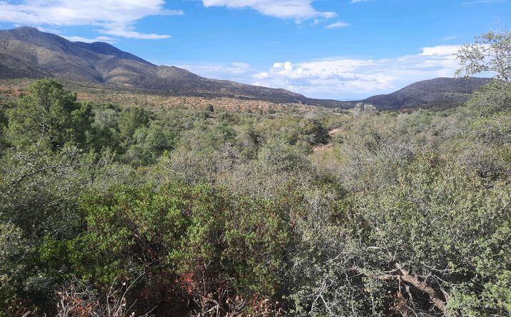 Pictures of Land property located at 1XX N Chicory Lane, Globe, AZ 85501 for sales - image #1