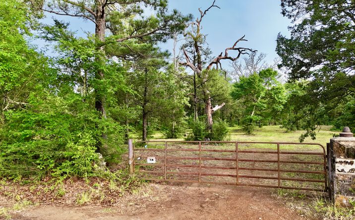 Pictures of Land property located at TBD Gibson Road, Athens, TX 75751 for sales - image #1