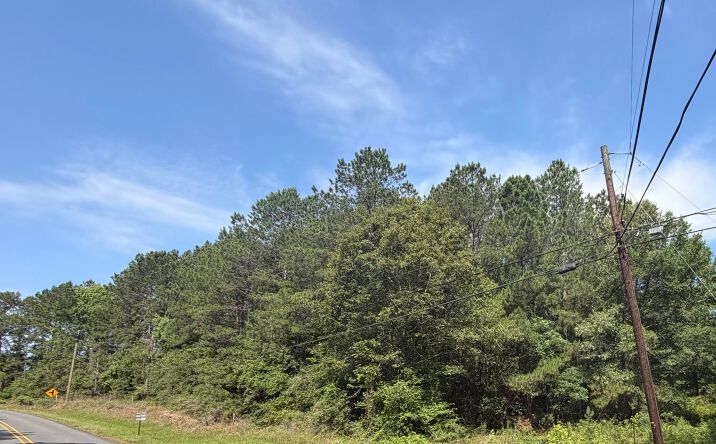 TBD Jeane Chapel Rd, Leesville