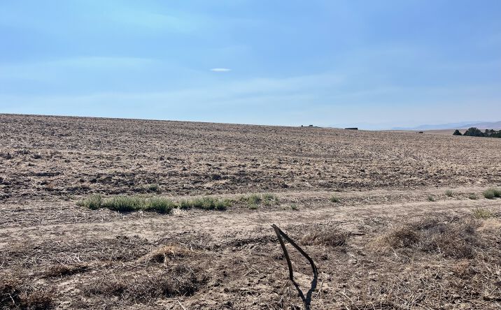 Pictures of Land property located at Homestead Road, Ponderosa Pines, MT 59752 for sales - image #1