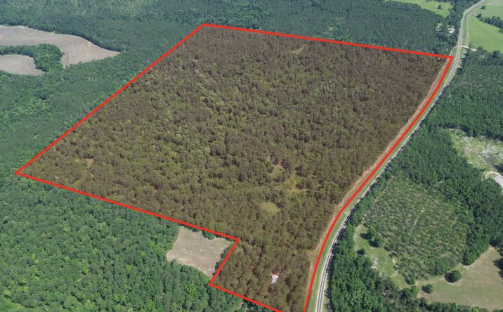Pictures of Land property located at 269 Cotton Hill Road, Fort Gaines, GA 39851 for sales - image #1