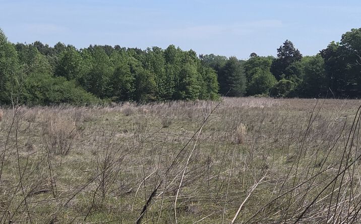 Pictures of Land property located at 1471 Saint Andrews Church Road, Sanford, NC 27332 for sales - image #1