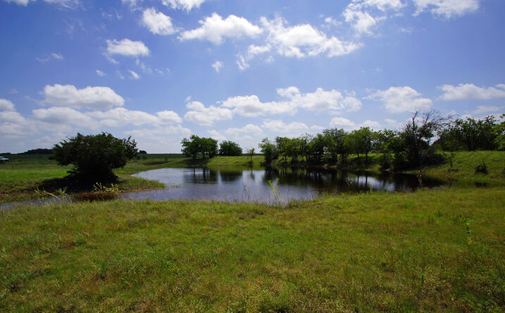 Pictures of Land property located at 2002 County Road 276, Bertram, TX 78605 for sales - image #1