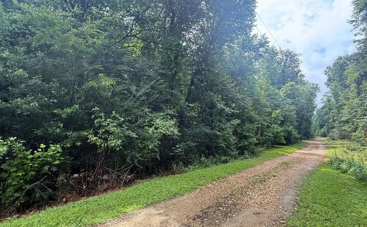3042 Brandi Road, 70964