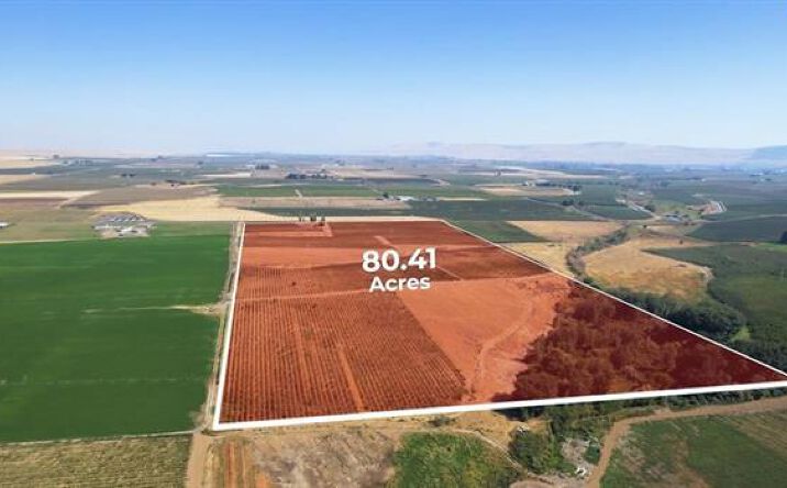 Pictures of Land property located at 54402 N Hinzerling Rd, Prosser, WA 99350 for sales - image #1