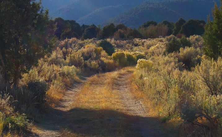Faulkner Creek Road, Eureka
