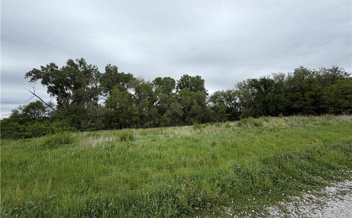Pictures of Land, Multifamily property located at South Davis Street, Burlington Jct, MO 64428 for sales - image #1