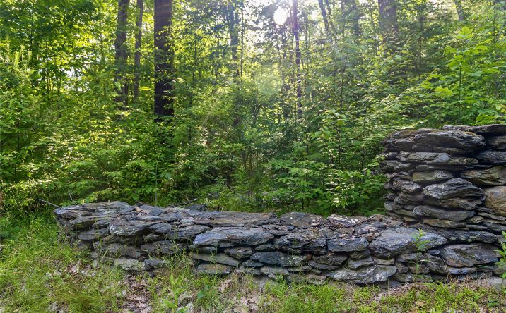 Pictures of Land, Special Purpose property located at Mallory Road, Verbank, NY 12585 for sales - image #1