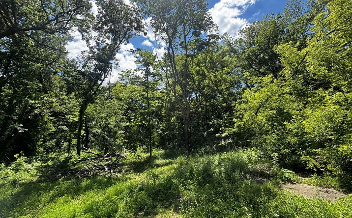 Pictures of Land property located at 4360 W ROCKTON Road, Rockton, IL 61072 for sales - image #1