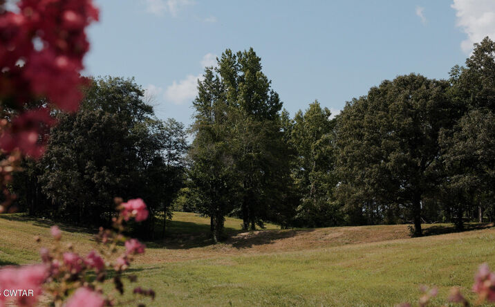 Pictures of Land property located at Woods Cemetary Rd., Hickory Valley, TN 38042 for sales - image #1