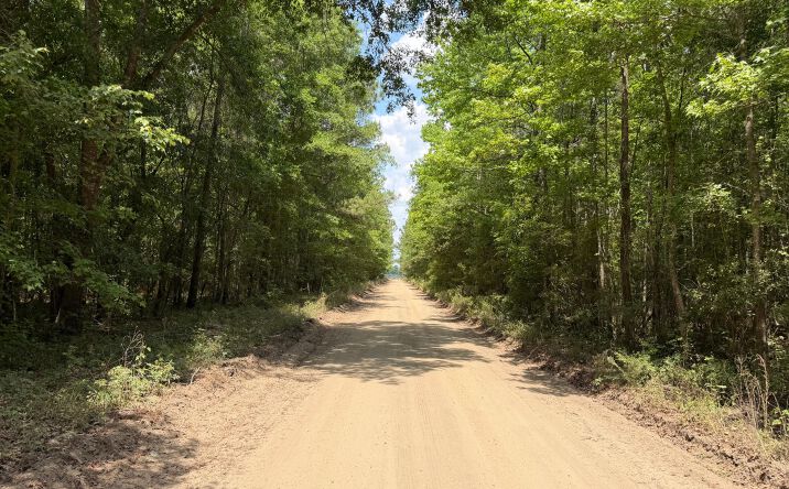 Pictures of Land, Special Purpose, Multifamily property located at Toney Bay Road, Holly Hill, SC 29059 for sales - image #1
