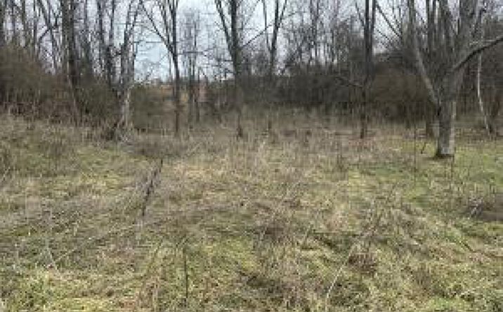 Pictures of Land, Mixed Use, Retail property located at 21509 Clear Creek Road, Bristol, VA 24202 for sales - image #1