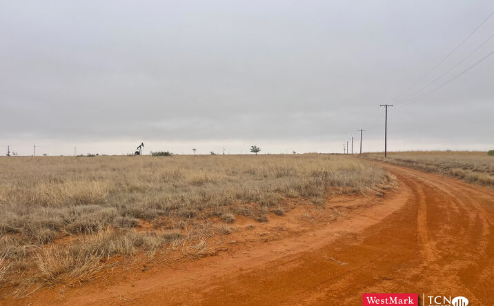 Pictures of Land property located at 8446-8450 Farm to Market 597, Shallowater, TX 79363 for sales - image #1
