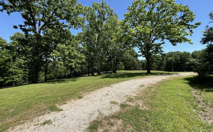 Pictures of Mixed Use, Land property located at 1610 W STATE HWY 165, BRANSON, MO 65616 for sales - image #1