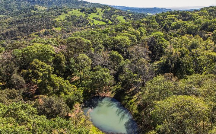 Pictures of Land property located at Juniper Dr, Napa, CA 94558 for sales - image #1