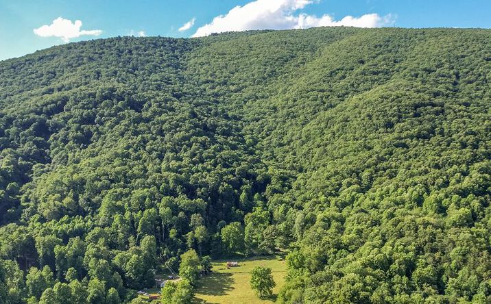 Pictures of Land, Multifamily property located at TBD Poor Valley Road, Saltville, VA 24370 for sales - image #1