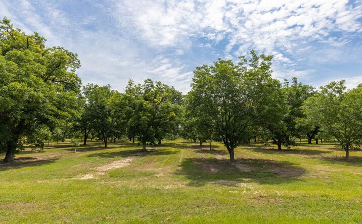 Pictures of Industrial property located at 9 Old Leesburg Rd, Leesburg, GA 31763 for sales - image #1