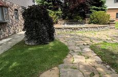 33844152