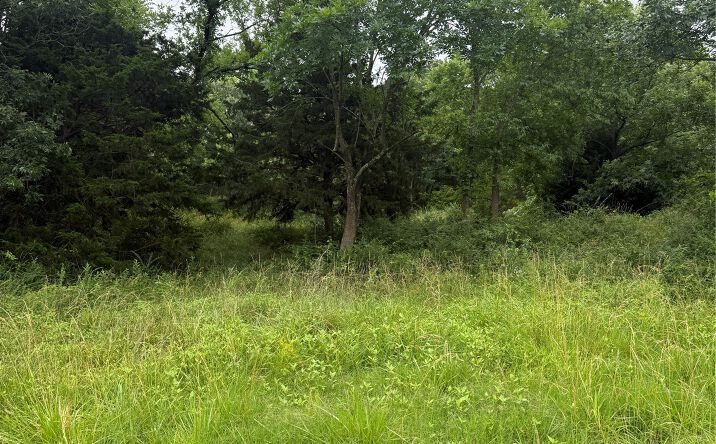 Pictures of Land property located at 4802 N 25th West Avenue, Tulsa, OK 74107 for sales - image #1