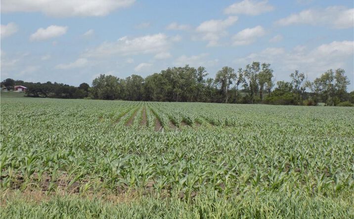 Pictures of Land property located at 300 Road & Oregon Road, Kincaid, KS 66039 for sales - image #1