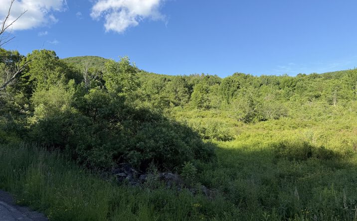 Pictures of Land property located at 3012 Red Kill Road, Fleischmanns, NY 12430 for sales - image #1