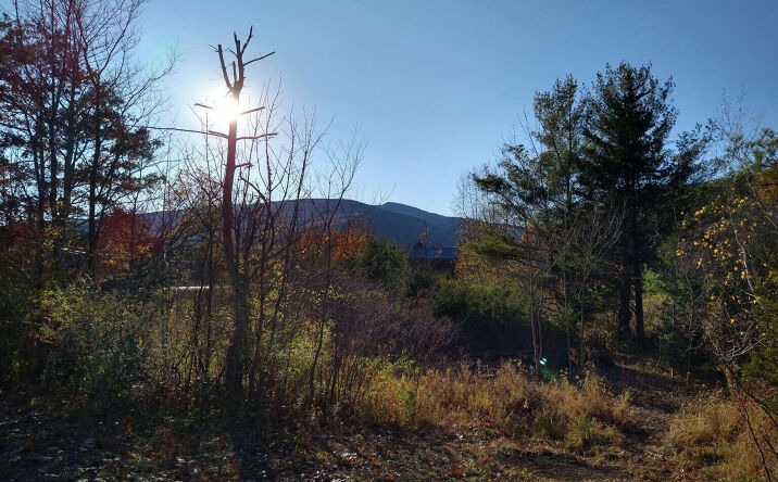 Pictures of Land, Multifamily property located at Route 23a, Palenville, NY 12463 for sales - image #1