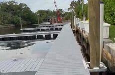 33854047