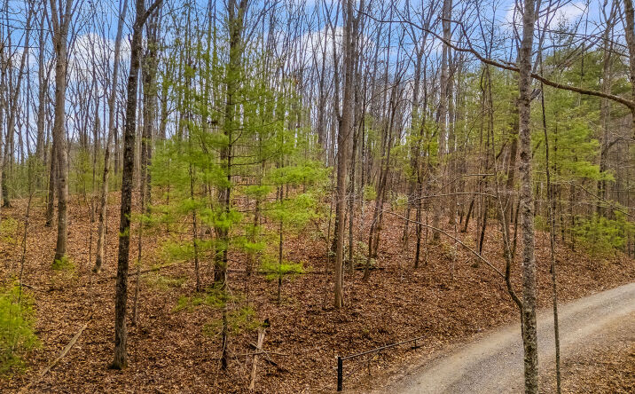 Pictures of Land property located at 0 GUY ELLER RD, MURPHY, NC 28906 for sales - image #1