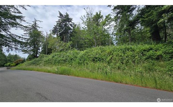 Pictures of Land property located at 27339 SE 403rd (Lots 39,47,48,49) St, Enumclaw, WA 98022 for sales - image #1