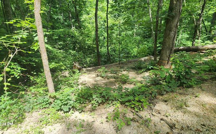 Pictures of Land, Multifamily property located at 730 Lakeview Trail, Holladay, TN 38341 for sales - image #1