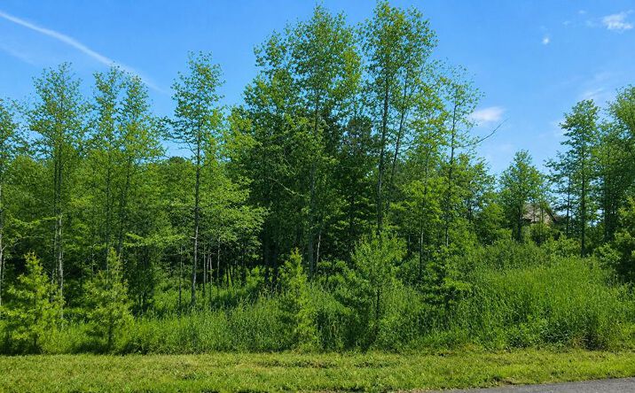 76 Water Oak Lane, Blairsville