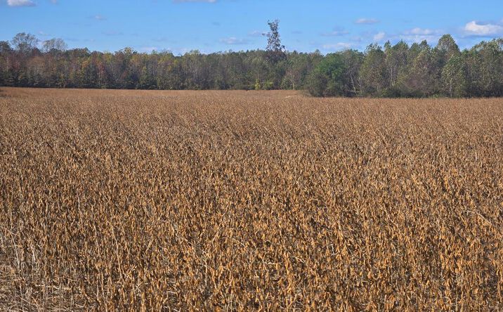 Pictures of Land property located at Newmans Neck Road, HEATHSVILLE, VA 22473 for sales - image #1