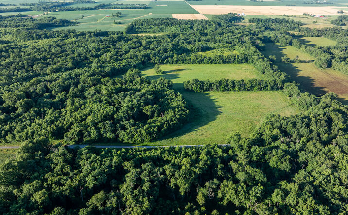Pictures of Land property located at 0000 Bellflower Ln, Rinard, IL 62878 for sales - image #1