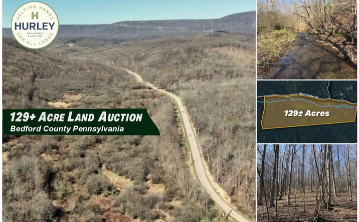 Pictures of Land property located at Black Hollow Road, Schellsburg, PA 15559 for sales - image #1