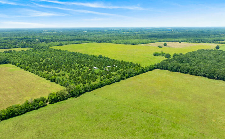 Pictures of Land property located at County Road 1357, Clarksville, TX 75426 for sales - image #1