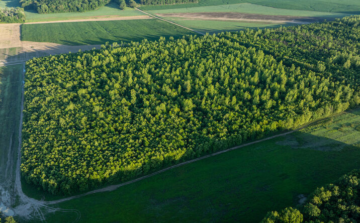 Pictures of Land property located at 000 Cr 2600E, Golden Gate, IL 62843 for sales - image #1