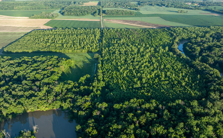 Pictures of Land property located at 0000 Cr 2600E, Golden Gate, IL 62483 for sales - image #1