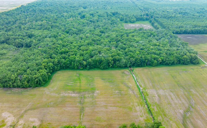 Pictures of Land property located at 000 CR 2200 N, West Salem, IL 62476 for sales - image #1