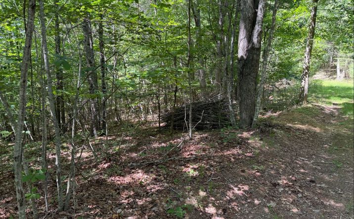 Pictures of Land property located at Tdb Broad Shoals Rd, Riner, VA 24149 for sales - image #1
