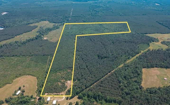 Pictures of Land property located at Hurst Road, 52487, LA 71251 for sales - image #1