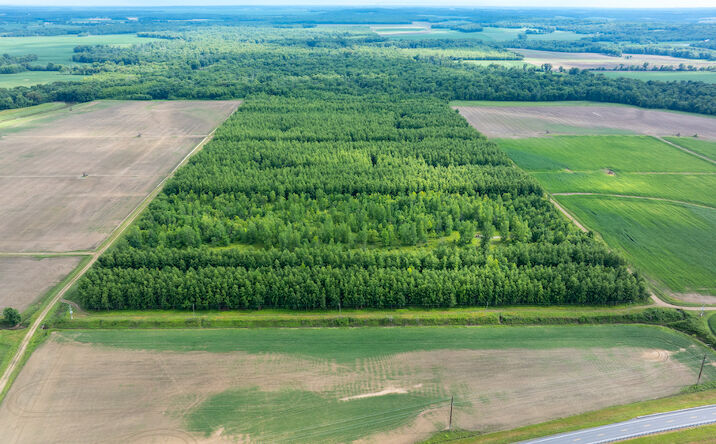 Pictures of Land property located at 000 Hwy 15, Golden Gate, IL 62843 for sales - image #1