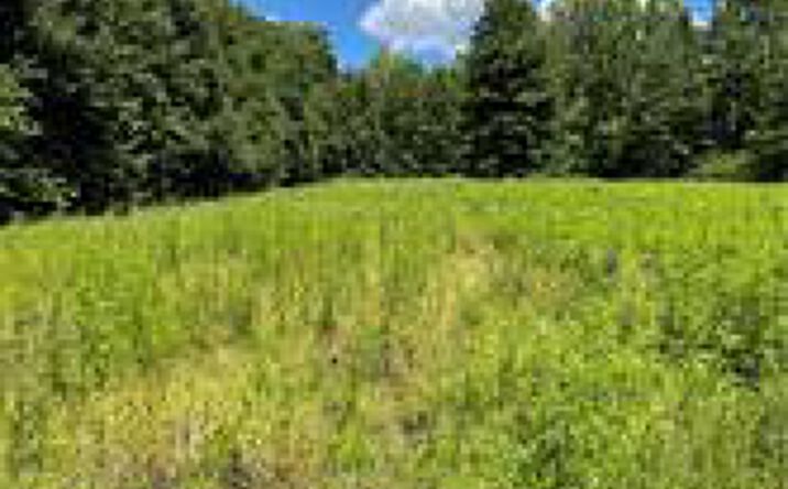 Pictures of Land property located at Cowley Rd, Columbia Station, OH 44028 for sales - image #1